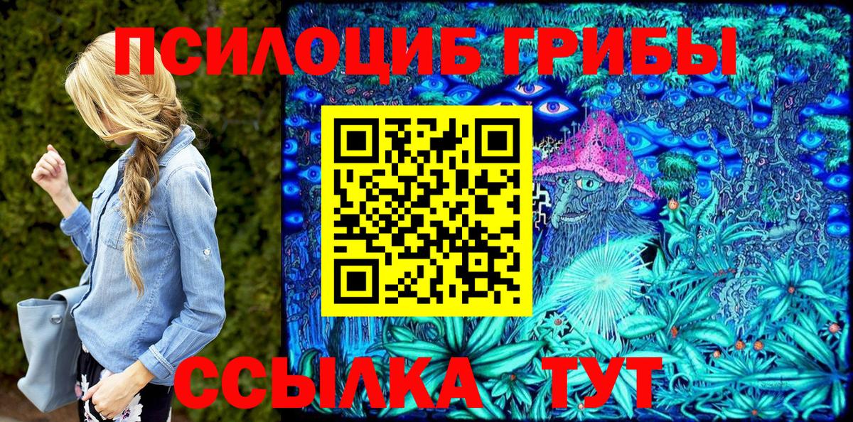 Псилоцибиновые грибы прущие грибы Каспийск